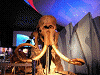 0390039_thumb.png