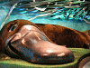 0420042_thumb.png