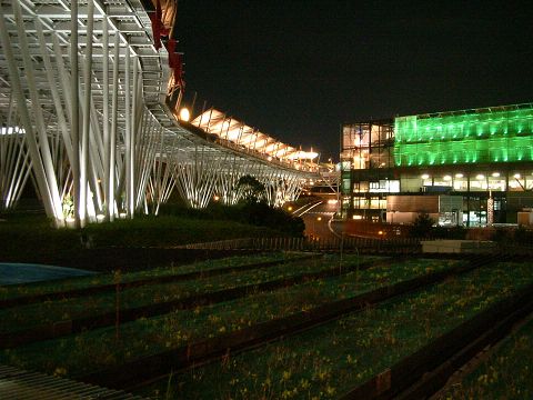 0100010.jpg