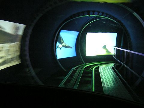 0340034.jpg