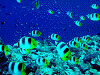 DSCN120004_thumb.png