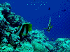DSCN130005_thumb.png