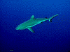 DSCN160008_thumb.png