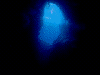 DSCN20009_thumb.png