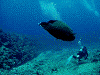 DSCN40011_thumb.png