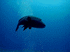 DSCN50012_thumb.png