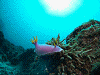 DSCF12280001_thumb.png