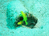 DSCF12720008_thumb.png