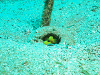 DSCF12740009_thumb.png