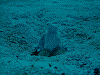 DSCF12850011_thumb.png