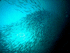 DSCF13050015_thumb.png