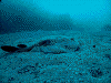 DSCF13110016_thumb.png