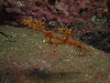 DSCF13490018_thumb.png