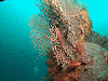 DSCF13520019_thumb.png