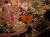 DSCF13580020_thumb.png