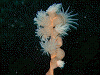 P10100410004_thumb.png