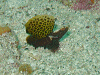 P10103770008_thumb.png