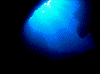 10001_thumb.png