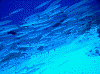 40015_thumb.png