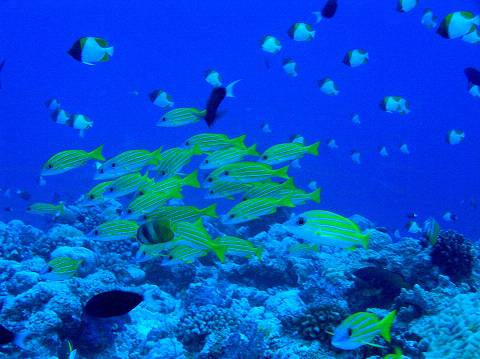 170009.jpg