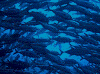 P60802780001_thumb.png