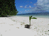 P60904330010_thumb.png
