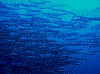 P61004880012_thumb.png