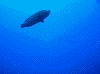 dc0717200002_thumb.png