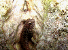 dc0717400005_thumb.png