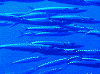 dc0717750008_thumb.png