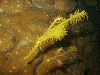 P10103430001_thumb.png