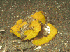 PB0501340004_thumb.png