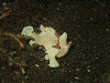 PB0601820008_thumb.png