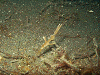 PB0601940009_thumb.png