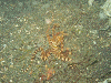PB0602180011_thumb.png
