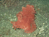 PB0702450012_thumb.png