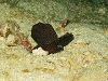 DH0000280002_thumb.png