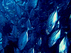 PB1601120011_thumb.png