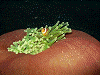 PB1601140012_thumb.png