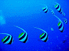 PB1900760016_thumb.png