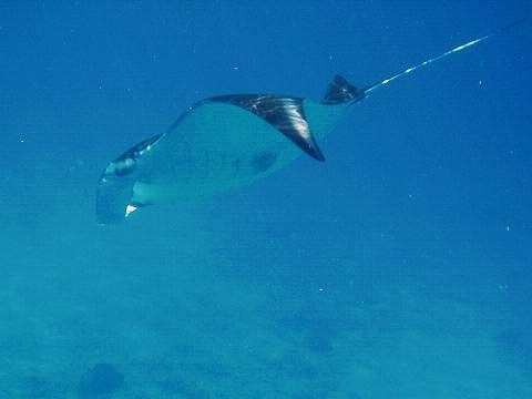 DH0000310003.jpg