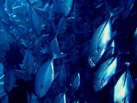 PB1601120011.jpg