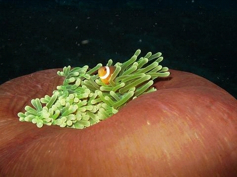PB1601140012.jpg