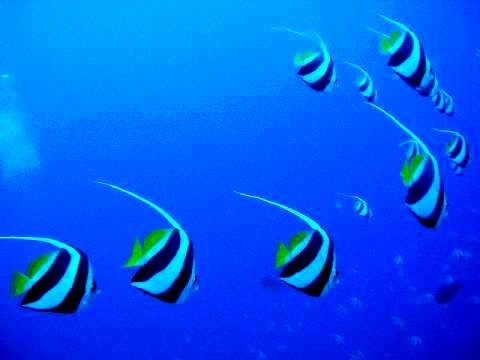 PB1900760016.jpg