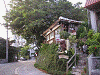 P61700520005_thumb.png