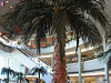 P61901180025_thumb.png