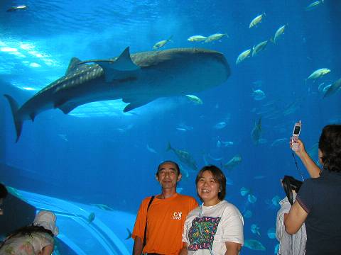 P61800770014.jpg