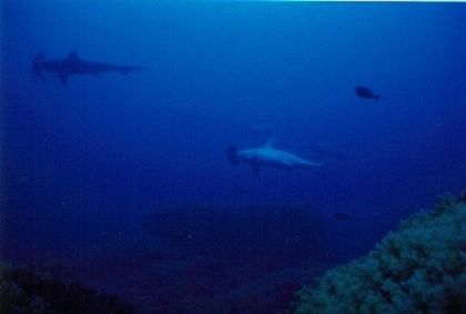 hanmer30005.jpg