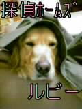 美有のいたずら