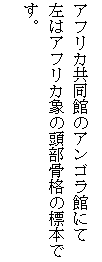 eLXg {bNX: AtJق̃ASقɂ
̓AtJۂ̓i̕W{łB

